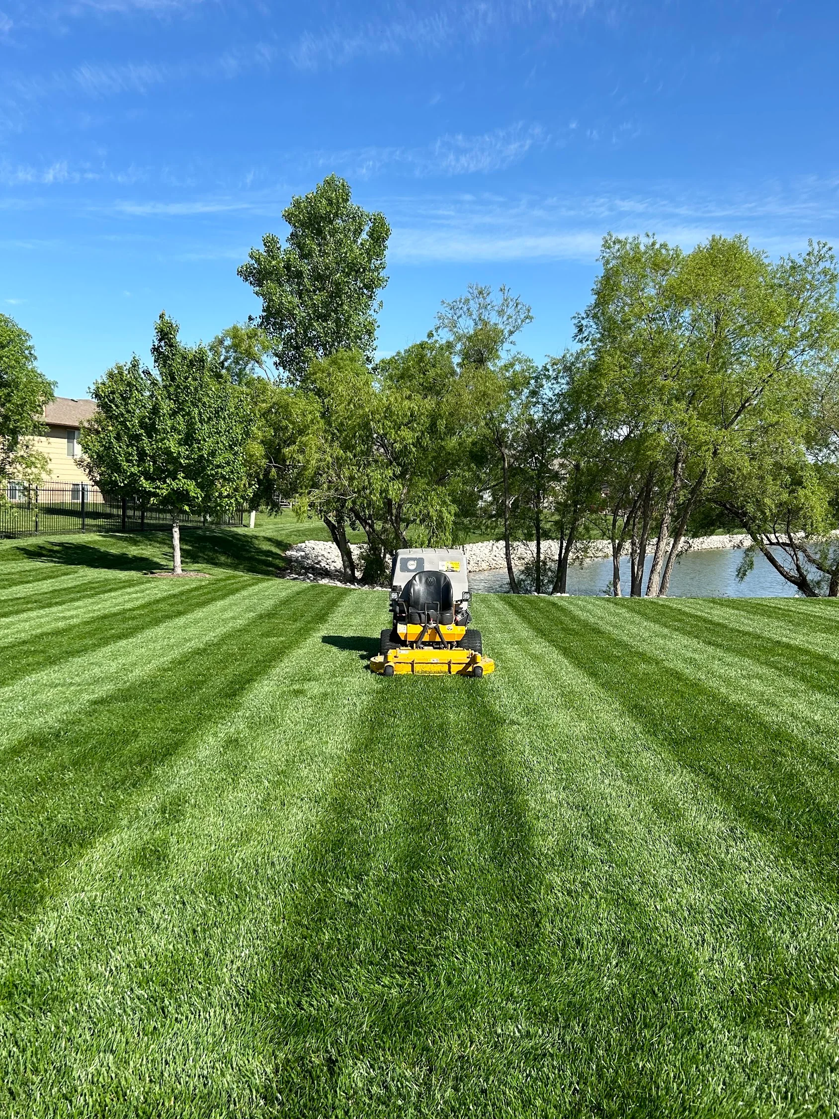 Zero-turn mower creating striped lawn patterns on residential property with mature trees and waterfront