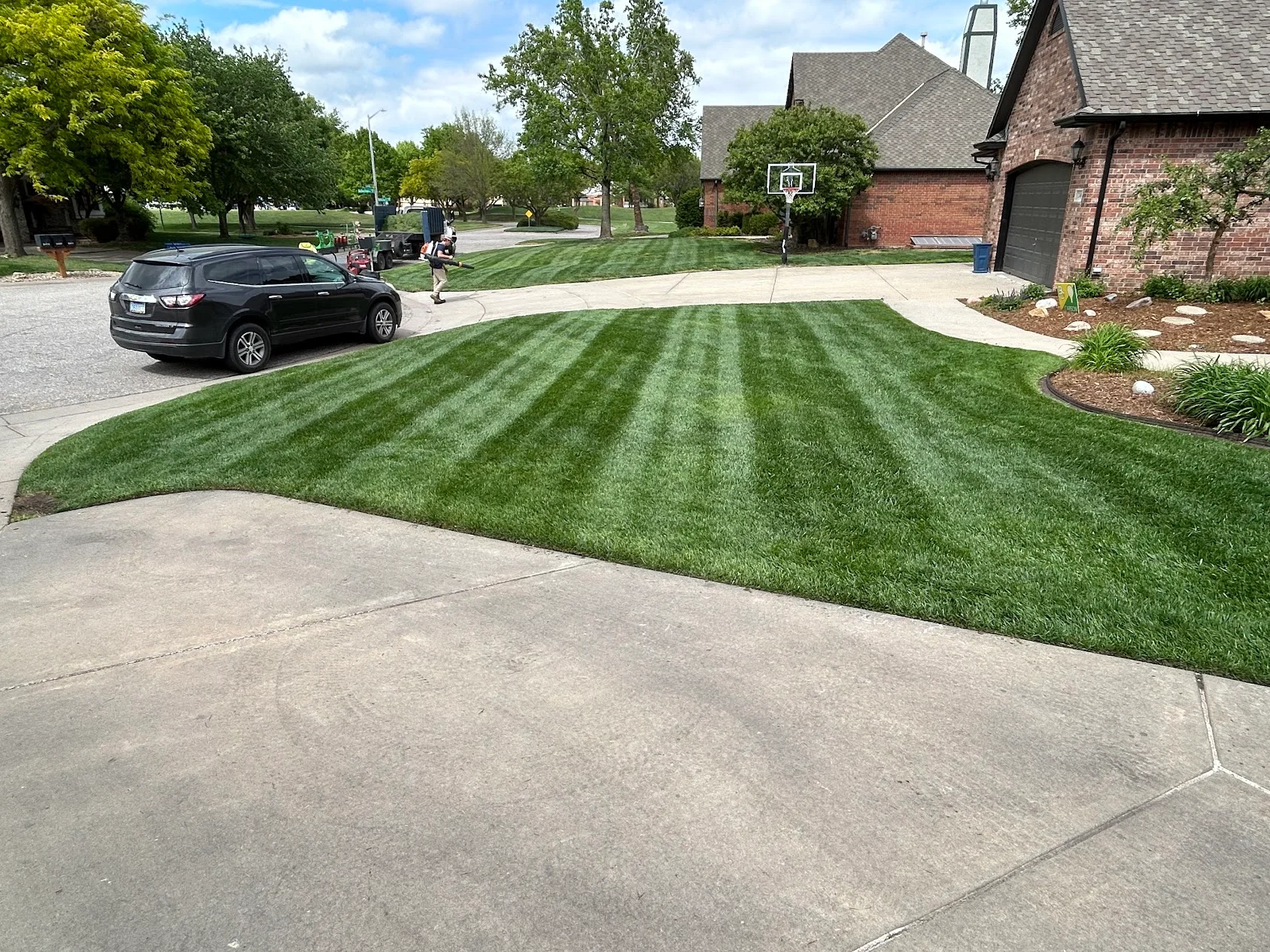 Striped lawn with diagonal mowing pattern, concrete driveway, and mulched landscape beds