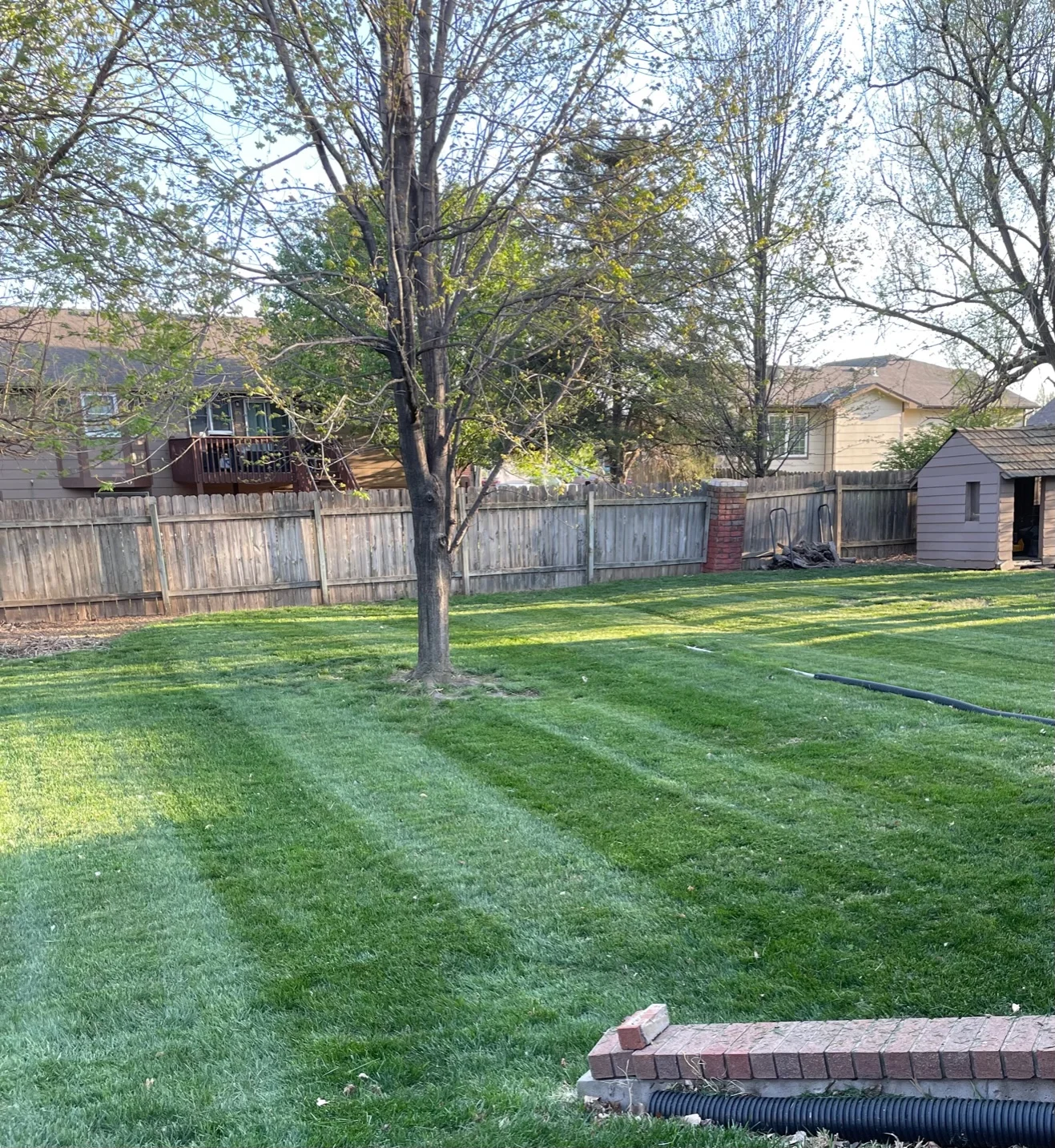 Residential backyard with freshly maintained lawn, wooden fence, mature trees, and drainage preparation materials