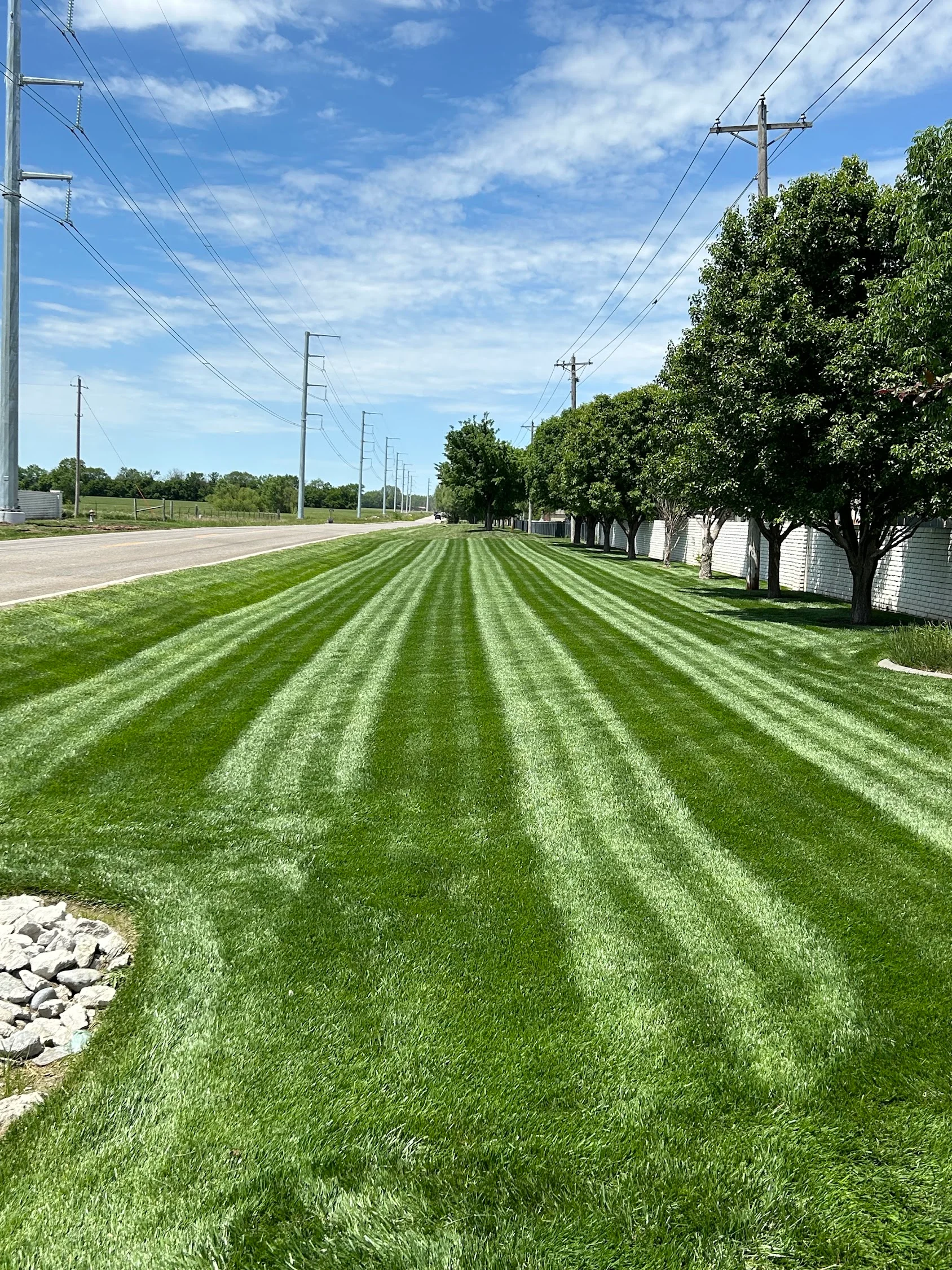 Striped lawn mowing pattern on commercial property with mature trees and rock edging